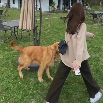 安娜波里斯传奇